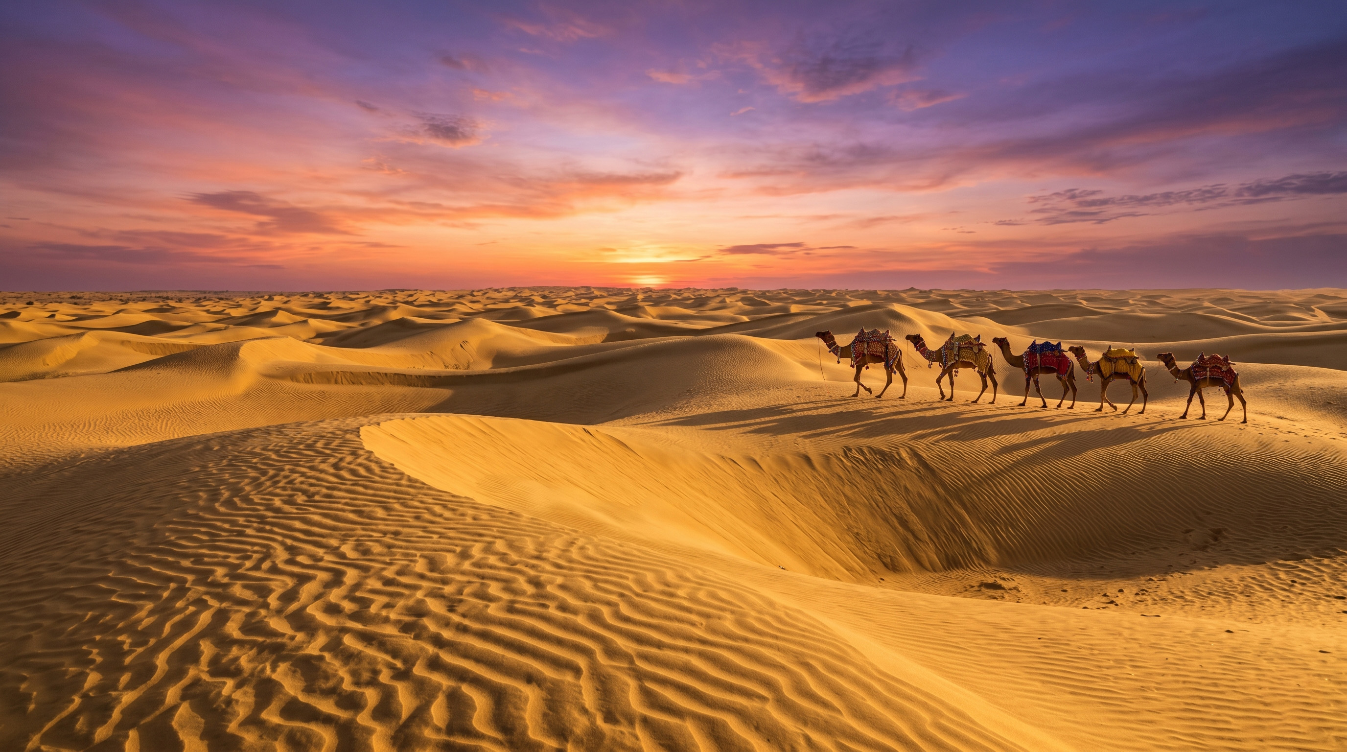 Sam Dunes Sunset