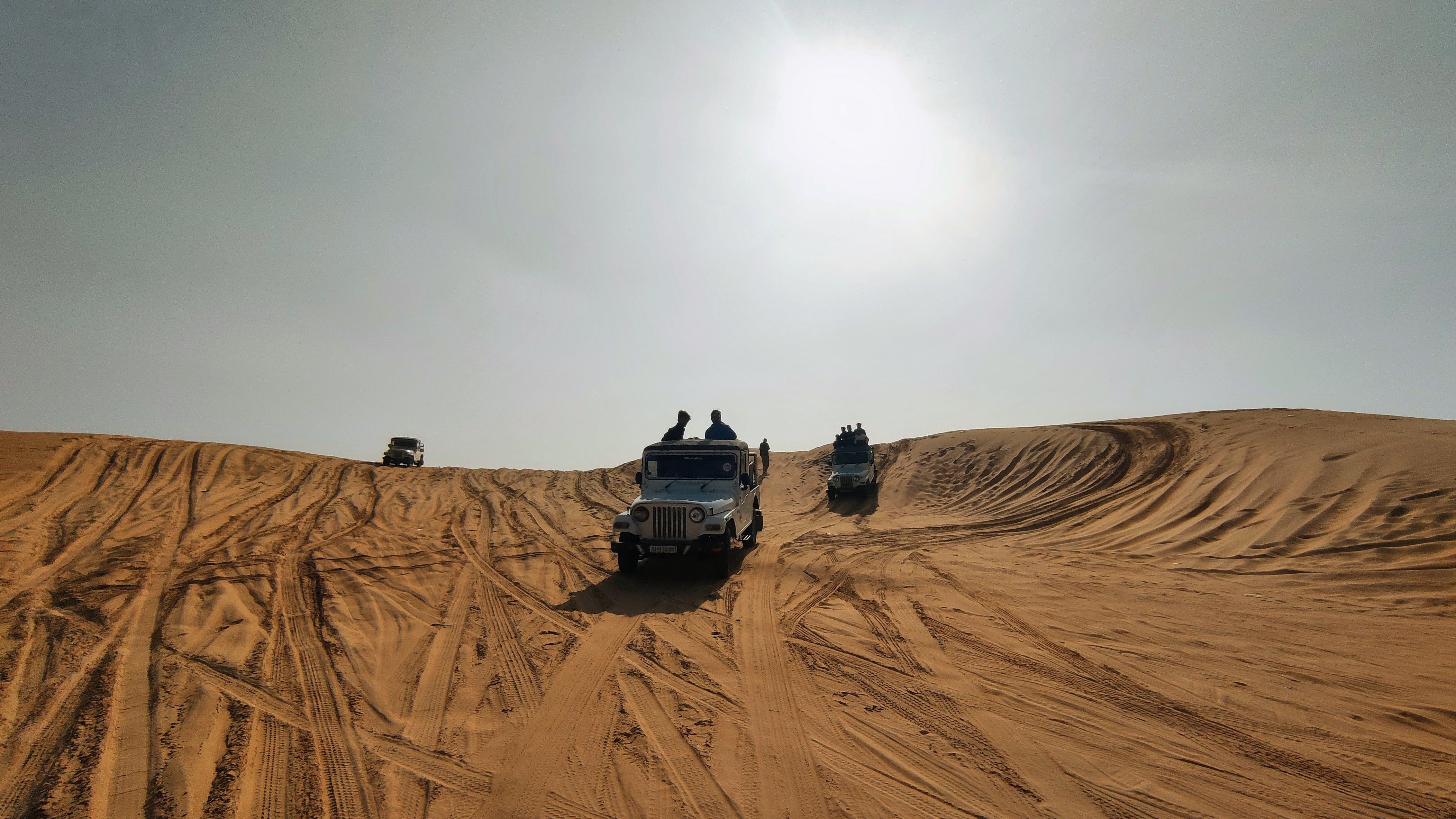 Thar Desert dunes